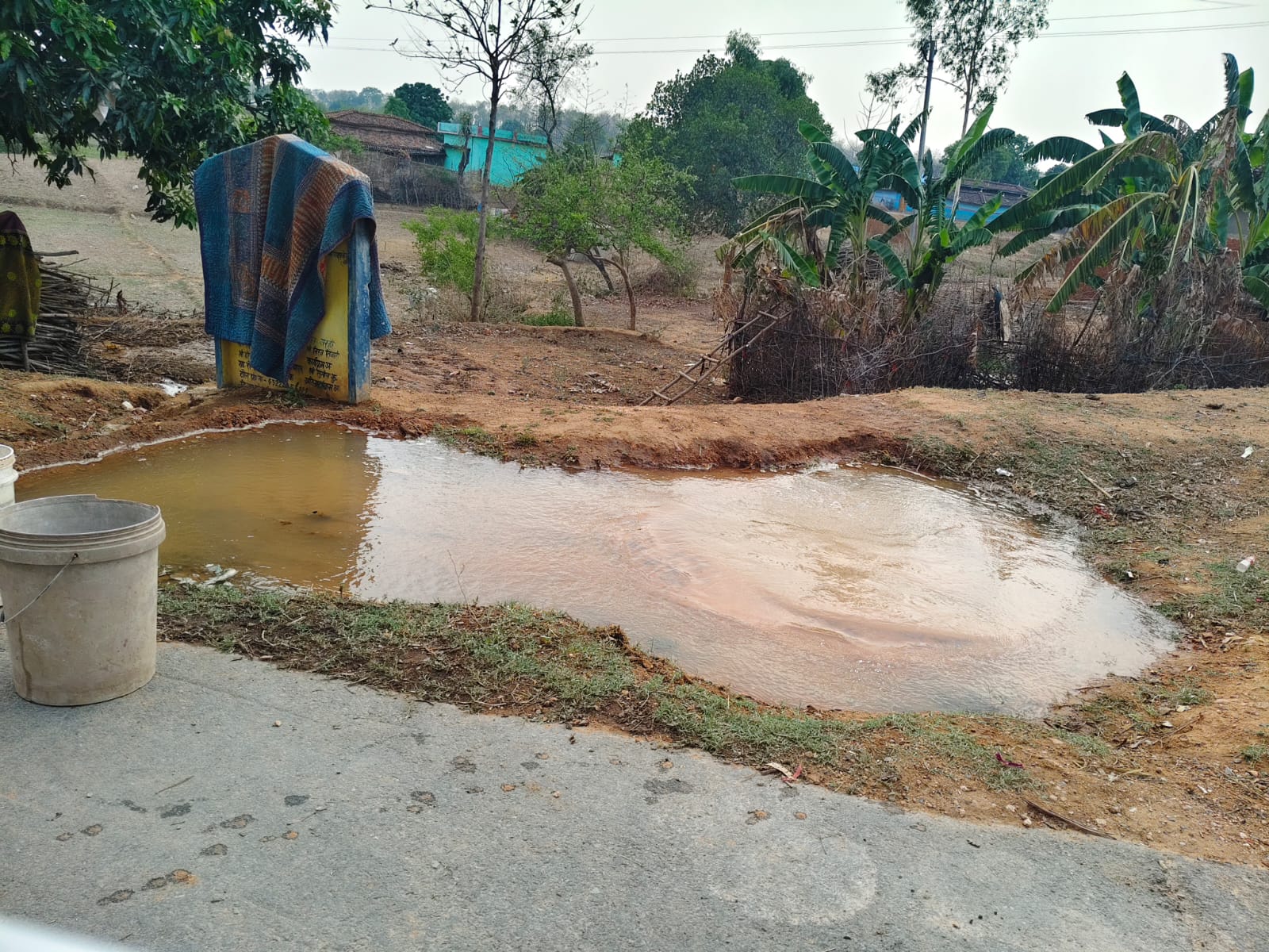Slide Image