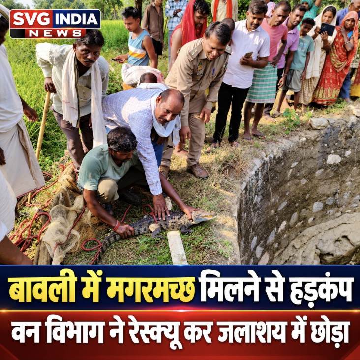 Latest news