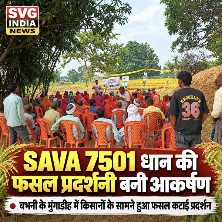 Latest news